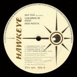 Desi_Roots_LP_-_Children_In_Exile_A.jpg