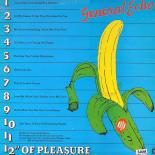 General_Echo_-_1980_-_12_Of_Pleasure_B.jpg