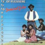 General_Echo_-_1980_-_12_Of_Pleasure_F.jpg