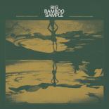 Big_Bamboo_Sample_-_Cover.jpg